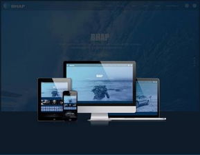 婆婆子官方網站正式上線