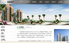 商丘網(wǎng)站建設(shè) 選擇專(zhuān)業(yè)網(wǎng)絡(luò)公司，打造卓越網(wǎng)站