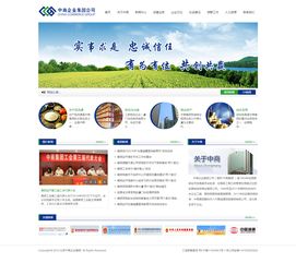 企業(yè)展示型響應(yīng)式網(wǎng)站建設(shè)指南 專(zhuān)業(yè)設(shè)計(jì)與高效制作
